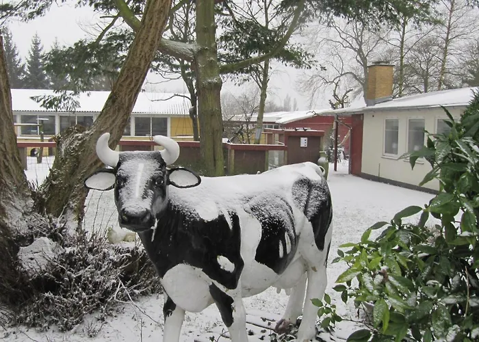 Danhostel Vollerup * Sønderborg